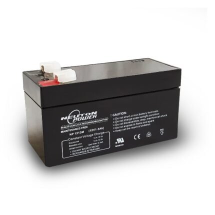 Neuton Power AGM Battery