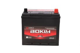AOKLY Maintenance Battery