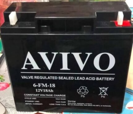 Avivo 6GFM 12V Battery