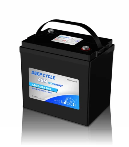LEOCH LDC6-224-GC2 6V AGM Battery