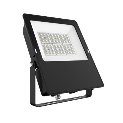 Delight Champion G2 100W Flood Light